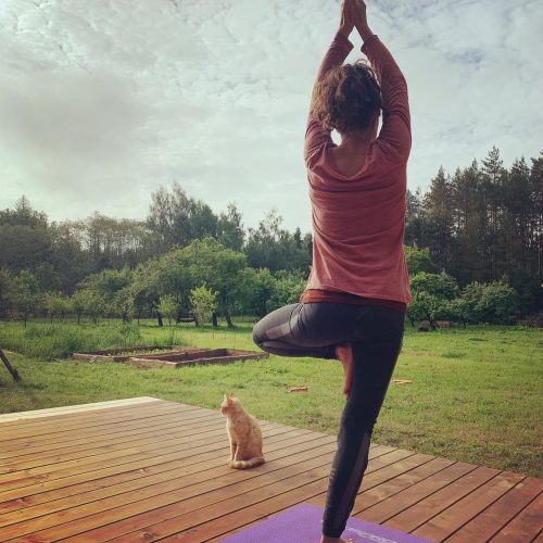 tree pose joga